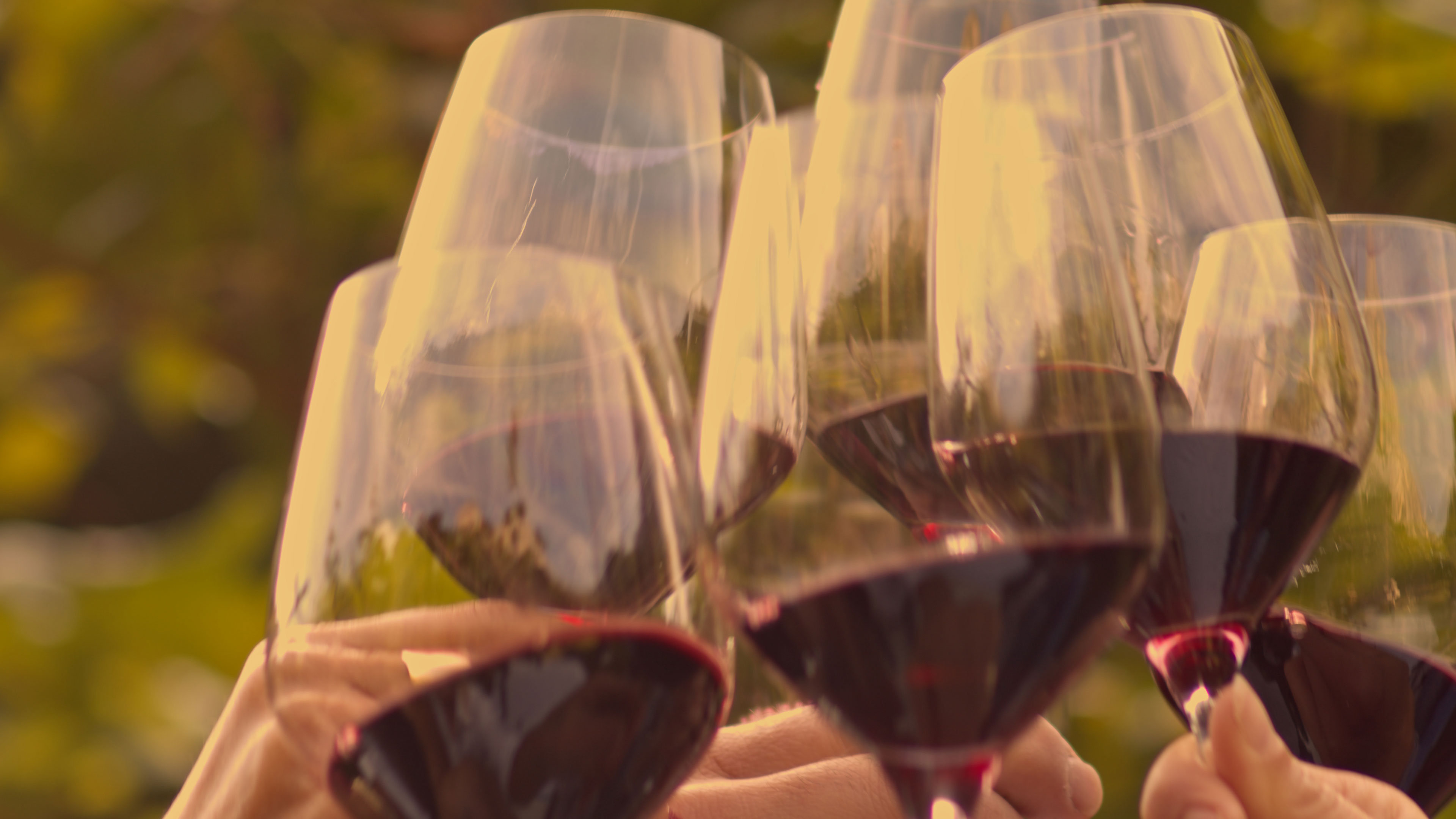 Degustazione Cantina Rotaliana
