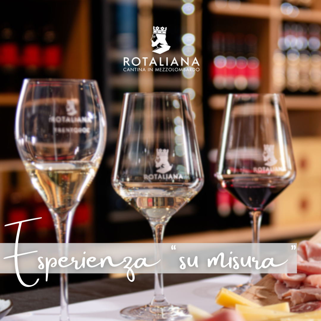 Esperienza su misura Wine Shop