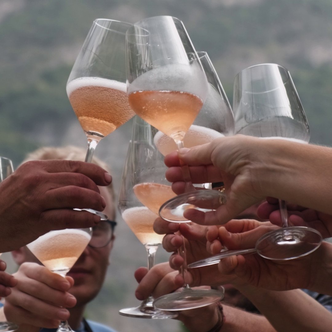 Brindisi e degustazione: Cantina Rotaliana
